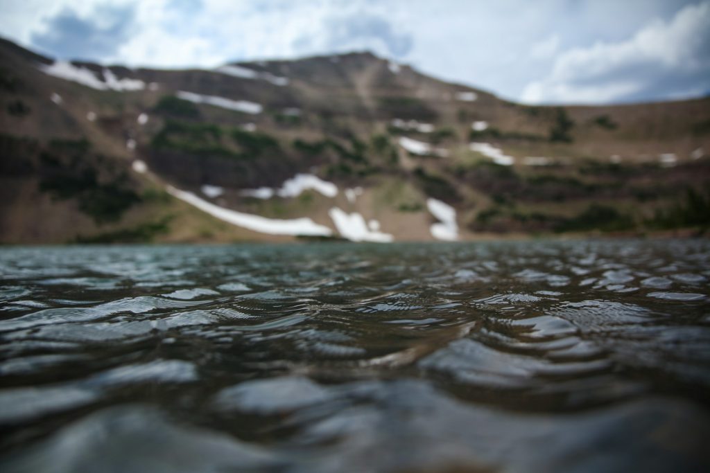 A water surface for assessing water quality using water testing kits.